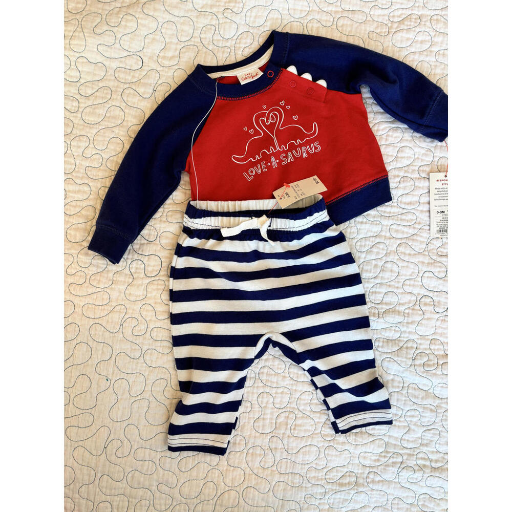 Cat & Jack Love-A-Saurus Sweatshirt and Striped Pants Size 0-3 Months